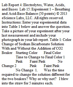 Week 10 Lab 4